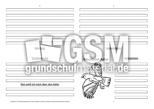 Adler-Faltbuch-vierseitig.pdf